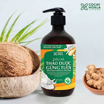 Dầu gội Thảo Dược Gừng Dừa