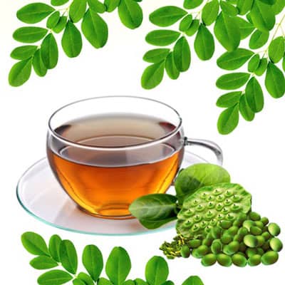 Trà thanh nhiệt túi lọc Chùm Ngây